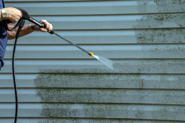 Best Vinyl Siding Pressure Washing in Pecatonica, IL